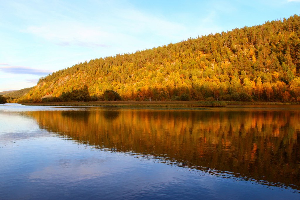 Parcs à proximité du lac Inari